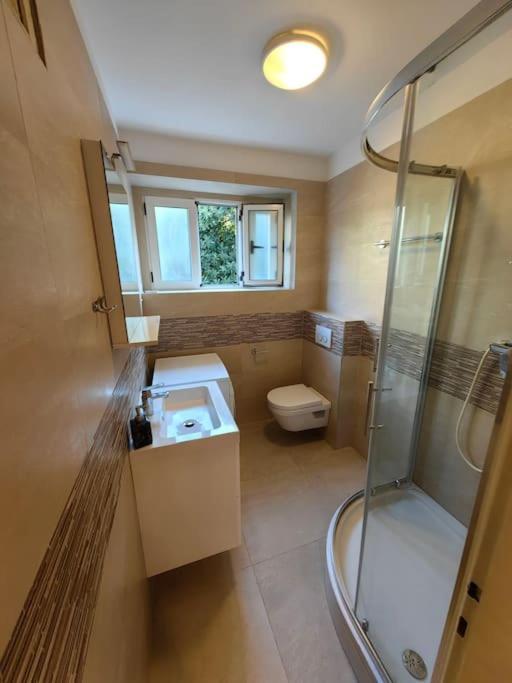 New 1 Bedroom Near Center And Apartment Split